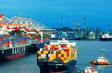 青岛海运在运输时应如何保存活海鲜？