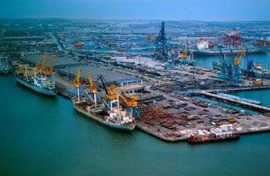 天津海运为加大市场竞争力，做出了哪些调整？