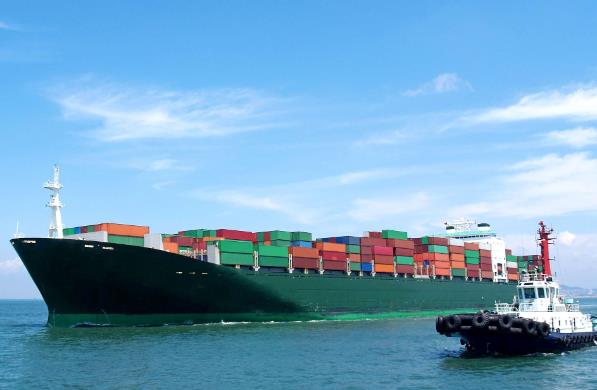 推动新加坡海运价格波动的关键因素是什么？